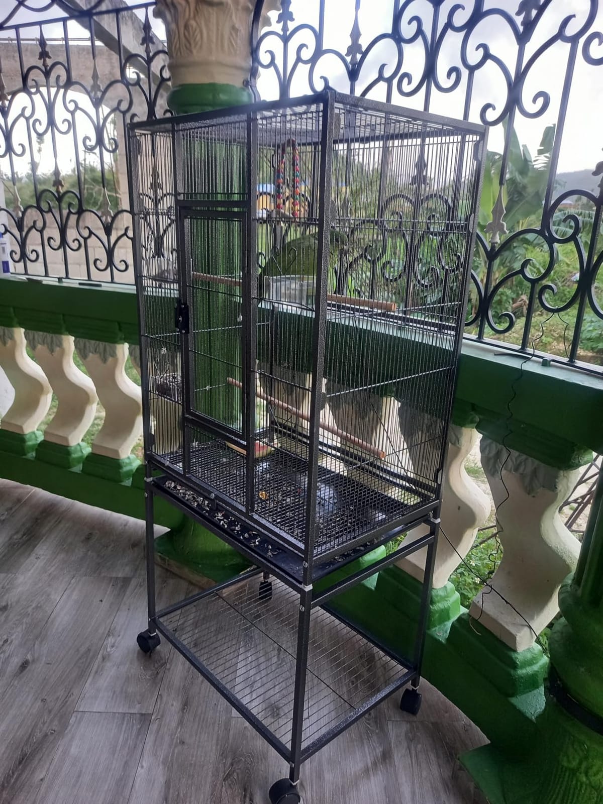 VEVOR Bird Cage, 32.7 x 31.1 x 82.7 inch, Open Flat Top, Wrought Iron Bird Flight Cage with Perches, Slide-Out Tray, Plastic Feeders, for Cockatiel, Monk Parakeet, Amazon Parrot, African Grey Parrot customer photo 1