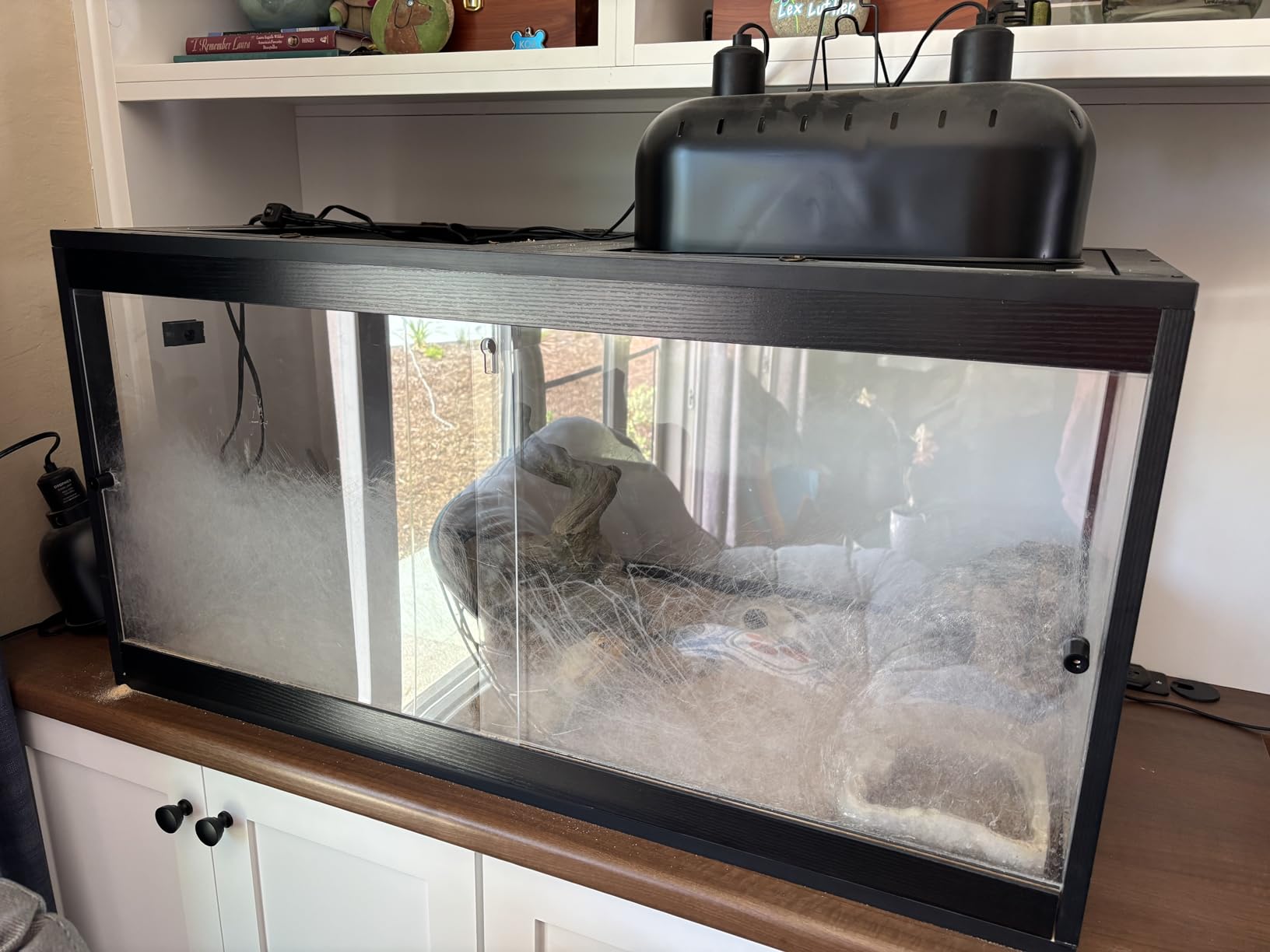 PROLEE Bearded Dragon Tank 81 Gallon, 48 x 20 x 20 Inch Wooden Reptile Enclosure with Metal Mesh Top, Clear Acrylic Sliding Doors and Lock, Large Lizard and Snake Tank, Black customer photo 2
