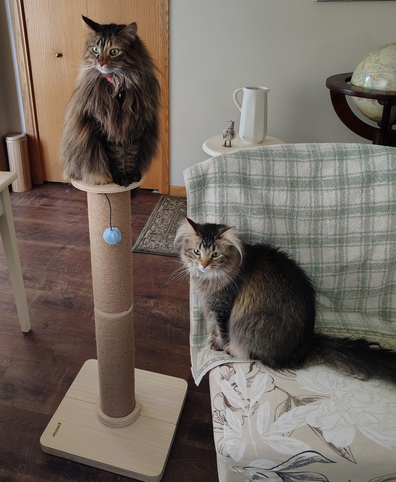 ZOMISIA 35'' Tall Cat Scratching Post for Indoor Cats Adults | 4.7'' Large Scratch Post, Thicken Wooden Base, Sisal Scratcher Top & Dangling Balls, Super Sturdy customer photo 1