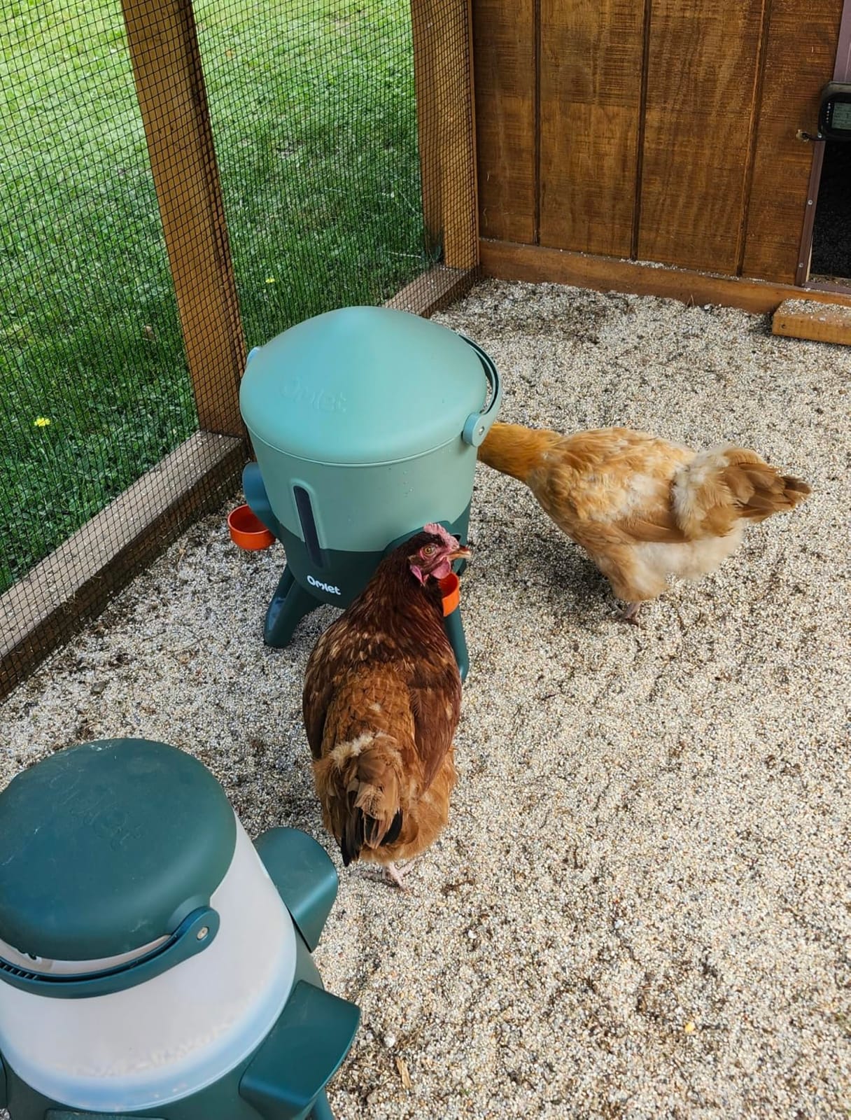 Omlet Insulated Chicken Waterer, 3 Gallon | Automatic Poultry Water Dispenser with 5 Cups & Nipples Included | BPA-Free | Anti-Roost Lid | Sage Green customer photo 2