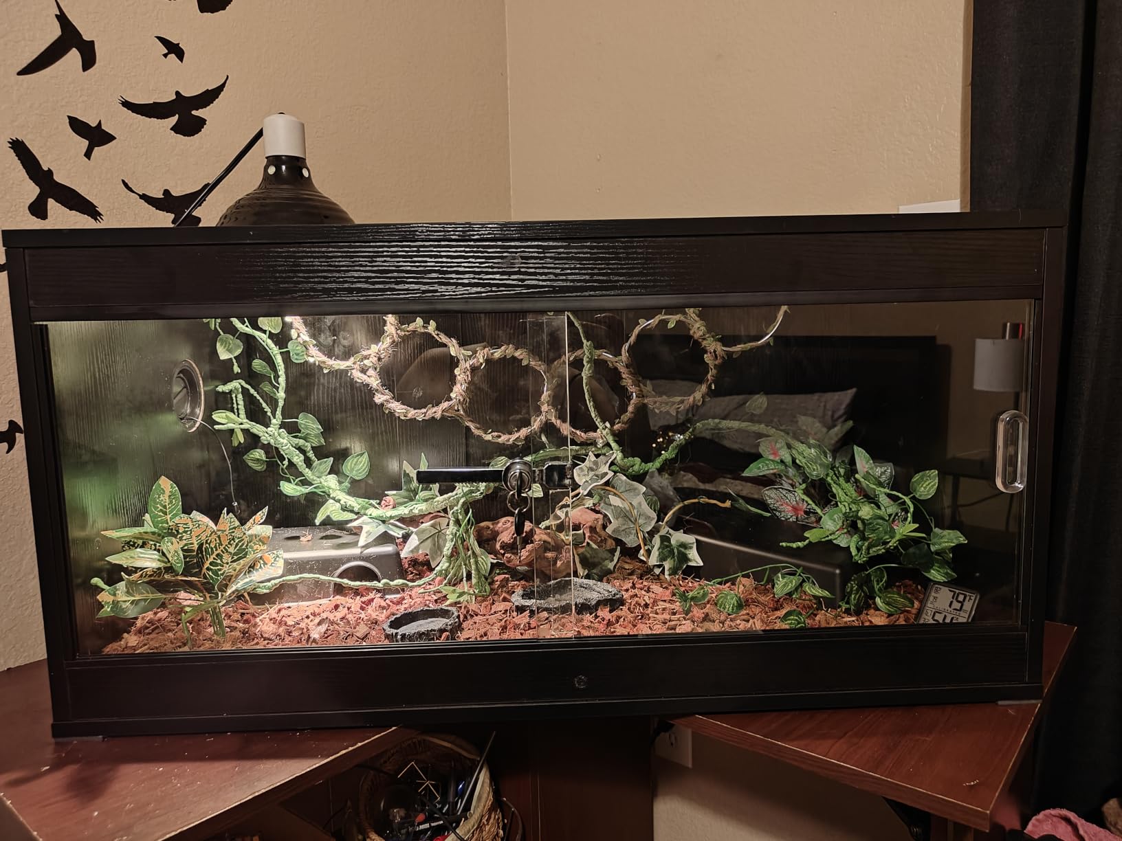 unipaws 50 Gallon Reptile Tank for Lizards, Leopard Geckos Enclosure Cage | Stackable, Front Opening Sliding Doors, Top Ventilation, Black Terrarium customer photo 2