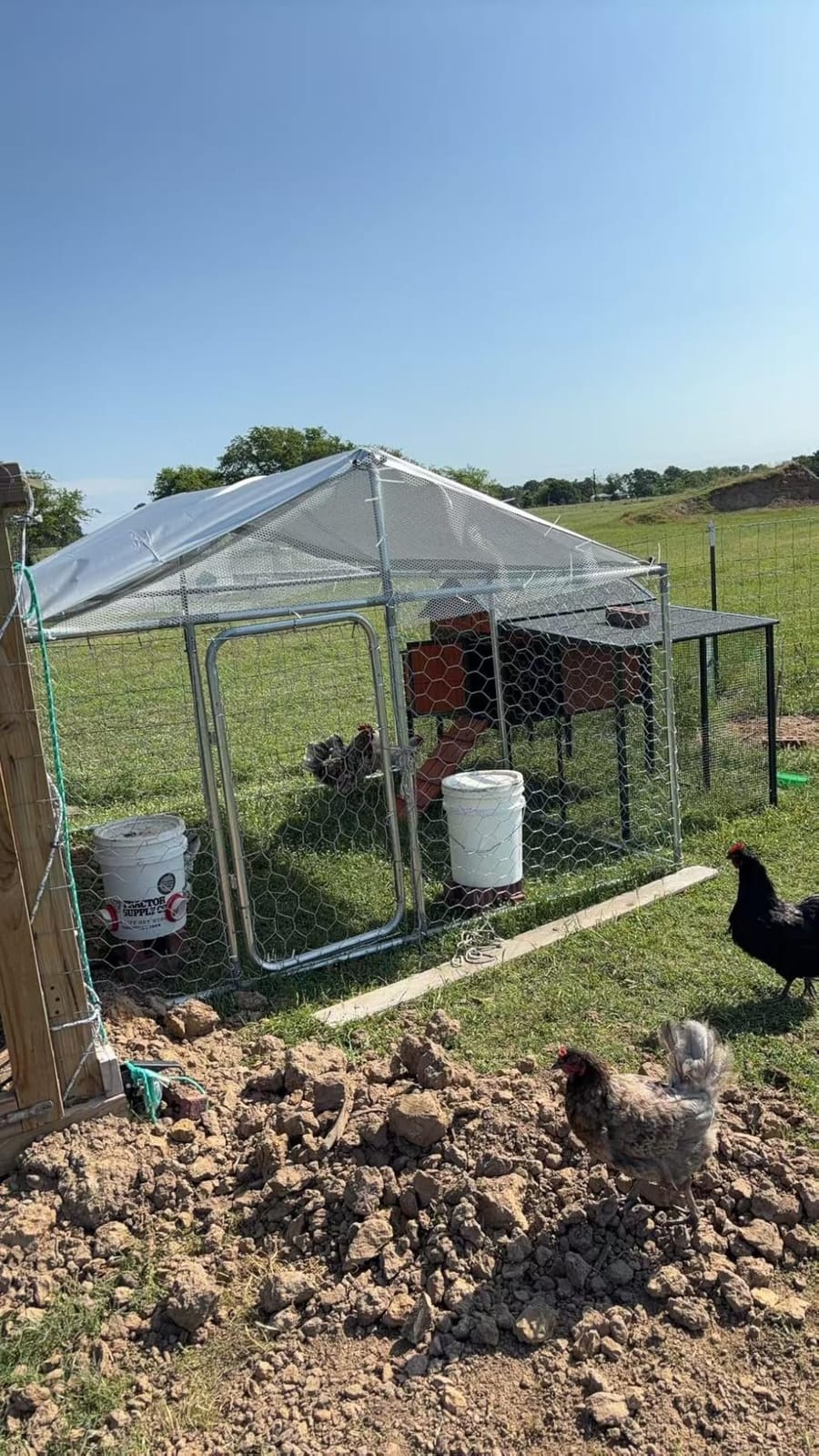 20x10 FT Large Dog Kennel Outdoor, Dog Run with Roof for Large Dog | Heavy-duty Steel Frame, Waterproof & UV-Resistant Canopy, Security Lock, Backyard Use customer photo 1