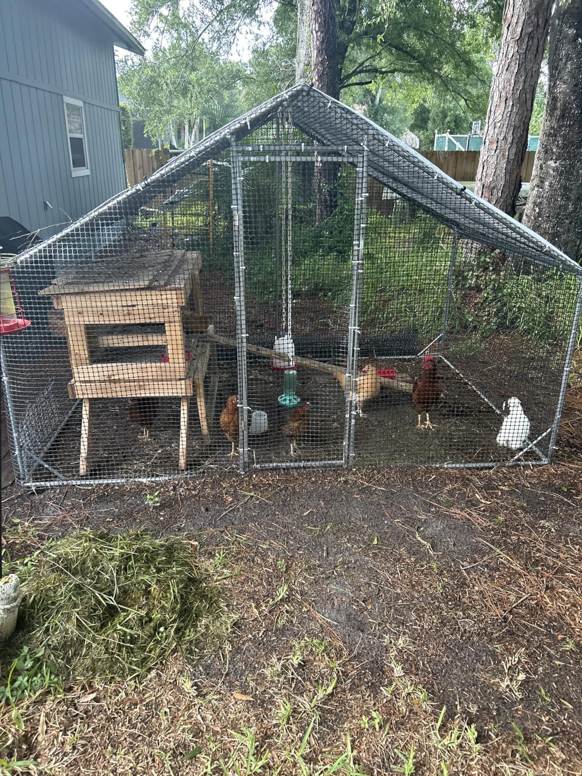 Large Walk-in Chicken Coop with Chicken Run, Galvanized Poultry Enclosure with Waterproof Anti-UV Cover and Security Lock, Ideal for Rabbit, Duck, Backyard and Farm Yard, 9.8'x 6.6'x 6.6' customer photo 2