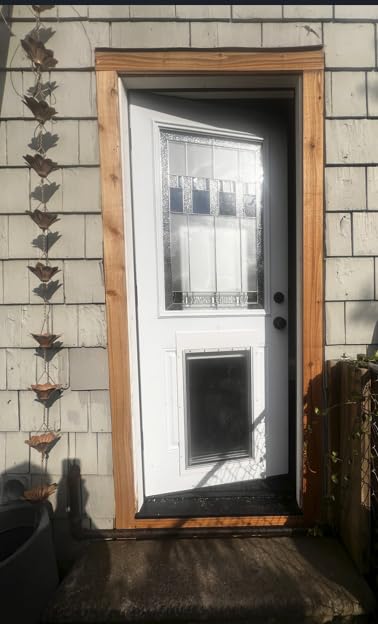 Automatic Dog Door with Collar Sensor, 2-Flap Large Electronic Dog Door for Door with Anti-Pinch, Mains-Powered, LCD Display, Timing Function, Metal Frame- L customer photo 1