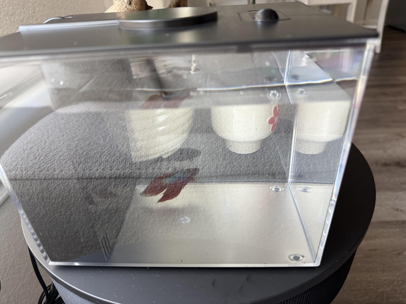 Vehipa Betta Fish Tank 1 Gal (3.7L), Acrylic Nano Aquarium Kit Black | With Water Filter Pump & LED Light, Ideal for Small Fish, Shrimp and Plants customer photo 1
