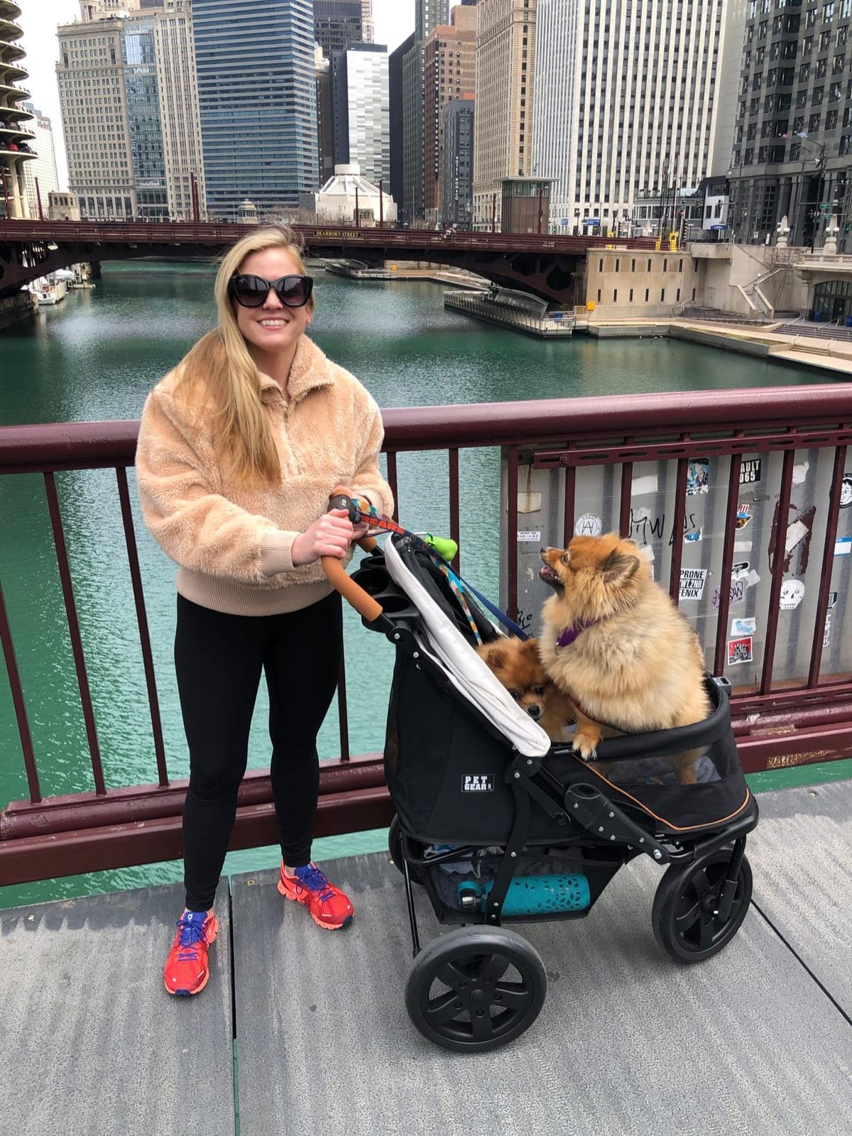 Pet Gear No-Zip AT3 Pet Stroller for Cats/Dogs, Sea Salt | Zipperless Entry, Easy One-Hand Fold, Jogging Tires, Removable Liner, Cup Holder + Storage Basket customer photo 2