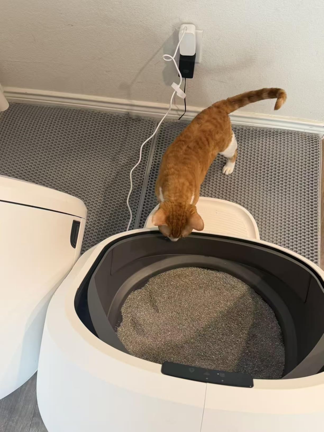 PETLIBRO Automatic Litter Box with AI-Camera Waste Analysis, Auto Odor-Control Self Cleaning Litter Box, Large Open-Top Luma Smart Litterbox with Multi-Cats Recognition, Usage Tracking, Safety Sensors customer photo 2