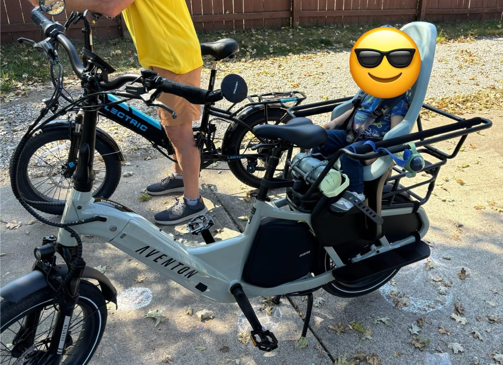 Thule Yepp 2 Mounted Child Bike Seat, Adjustable Footrests, 5-Point Harness and Easy to Mount Design customer photo 2