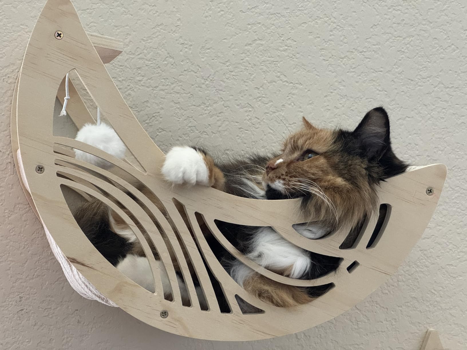 Moon & Star Cat Wall Shelves, Modern Cat Wall Furniture for Indoor Cats | Kitten Shelves with Decorative Cutouts, Space-Saving, Stable & Safe, Paintable, Pre-Drilled, Wood Cat Climbing System customer photo 1