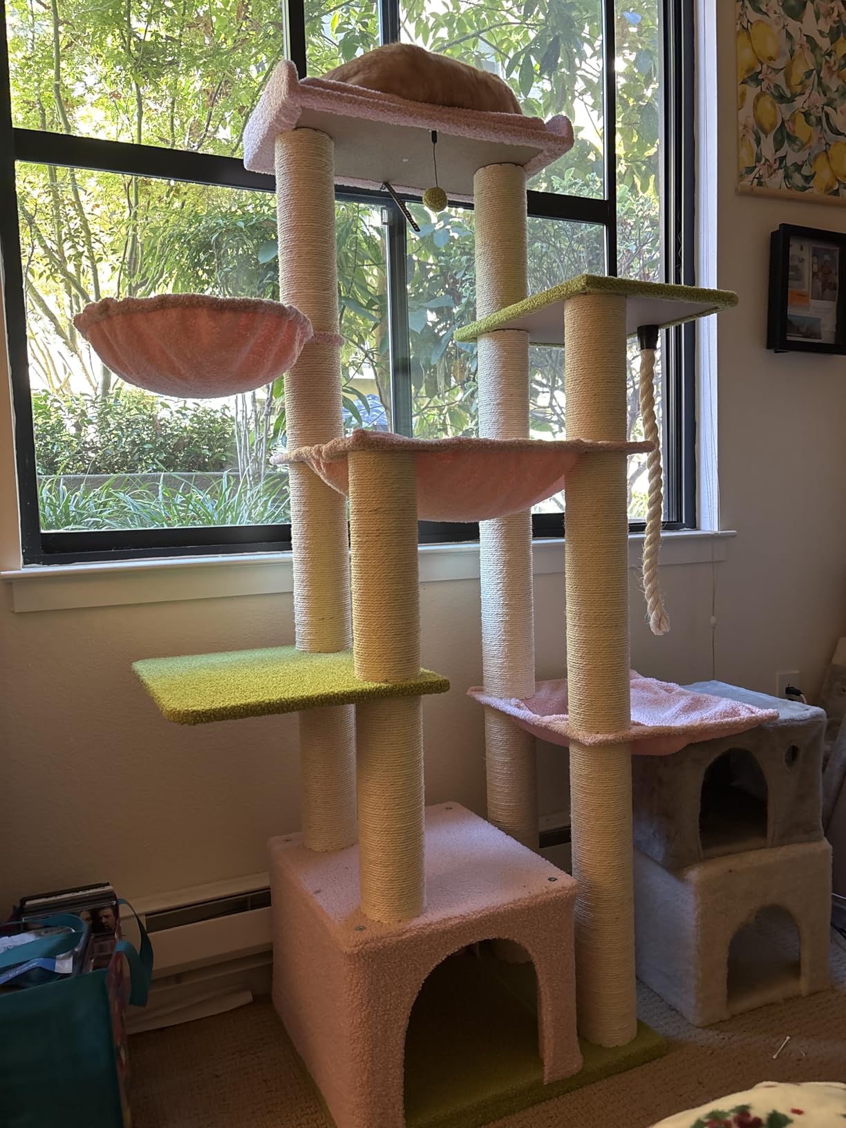 XXL Heavy Duty Cat Tree, 84