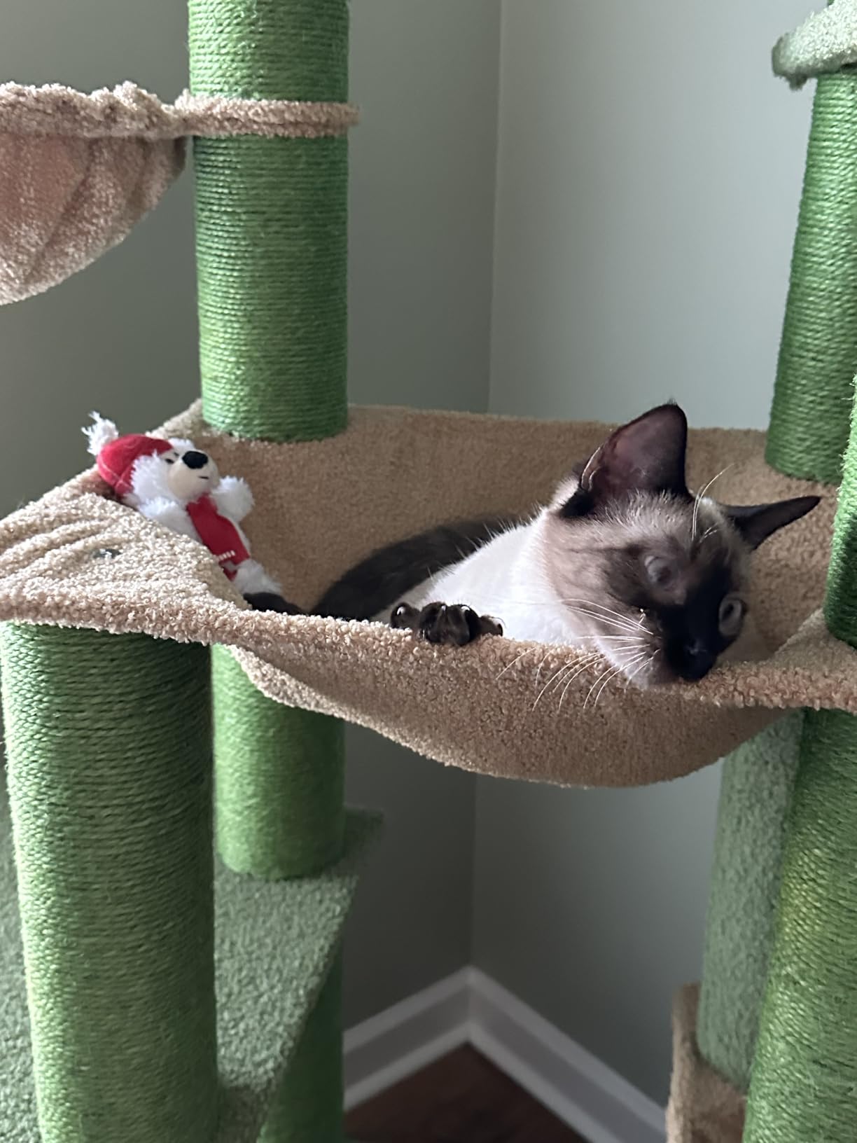 XXL Heavy Duty Cat Tree, 84