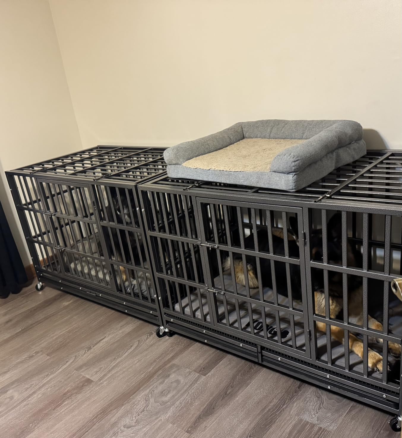 Hiwokk 54 Inch Heavy Duty Dog Crate, Indestructible Kennel for XLarge Dogs customer photo 2