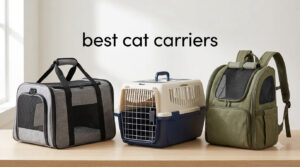 best cat carriers