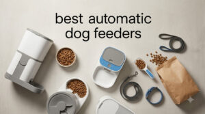 best automatic dog feeders