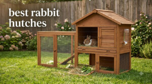best rabbit hutches