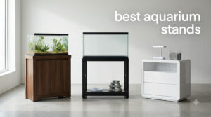 best aquarium stands