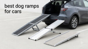 best dog ramps for cars