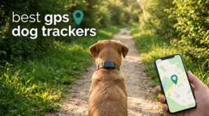 best gps dog trackers