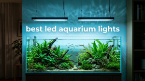 best led aquarium lights