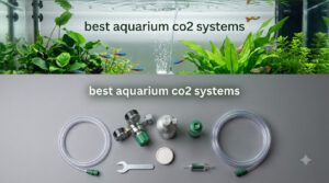 best aquarium co2 systems