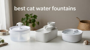 best cat water fountains