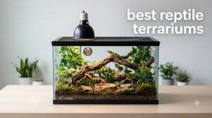 best reptile terrariums