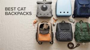 best cat backpacks
