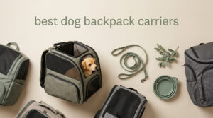 best dog backpack carriers