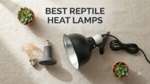 best reptile heat lamps