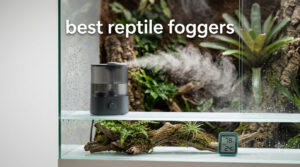 best reptile foggers