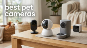 best pet cameras