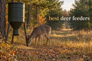 best deer feeders