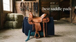 best saddle pads