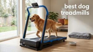 best dog treadmills