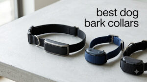 best dog bark collars