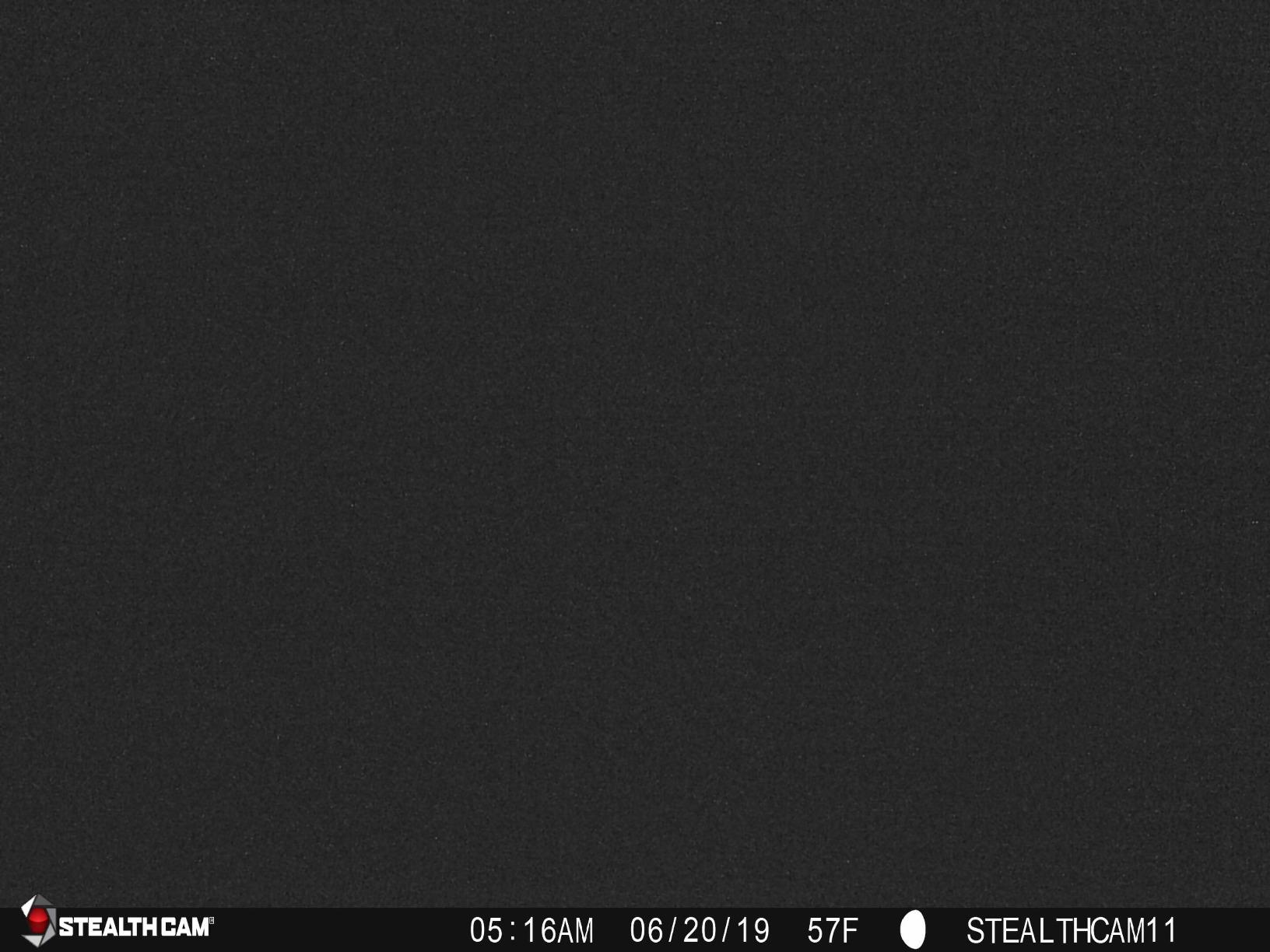 Stealth Cam outdoor Cam 1080p G42NG No Glo Trail and Wildlife Camera. Day or night proven reliability. Designed and Engineered in the USA customer photo 1