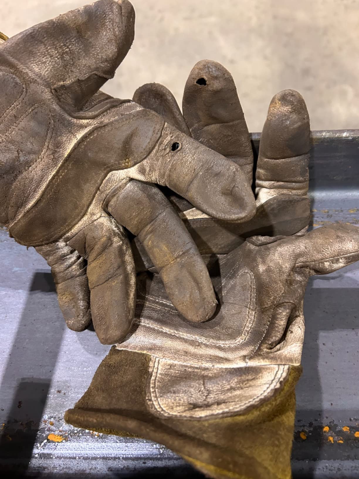 Caiman Premium Goat Grain TIG/MIG Welding Gloves with Wool Insulated Back, Scalloped Cuff, Boarhide Palm, Unlined, Reinforced Thumb, Kevlar, Kontour Design, White/Gold, Large (1871-5) customer photo 1