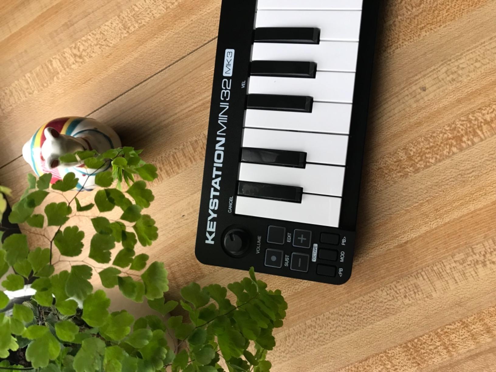 M-AUDIO Keystation Mini 32 MK3 USB MIDI Controller customer photo 2