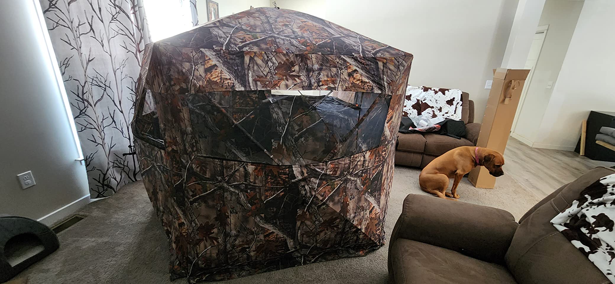 THUNDERBAY Gobbler Lodge 5-Side Hunting Blind, 4 Person Ground Blind for Deer Hunting, 300D Oxford Fabric Deer Ground Blind for Deer Hunting customer photo 2