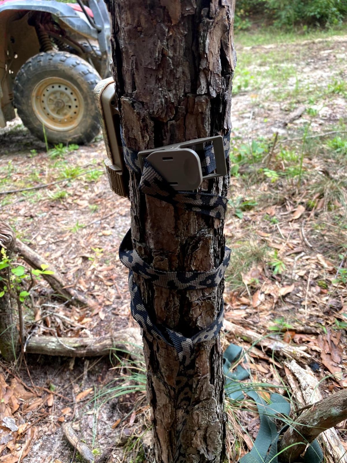 WingHome Wildlife Trail Camera Mounting Straps customer photo 1