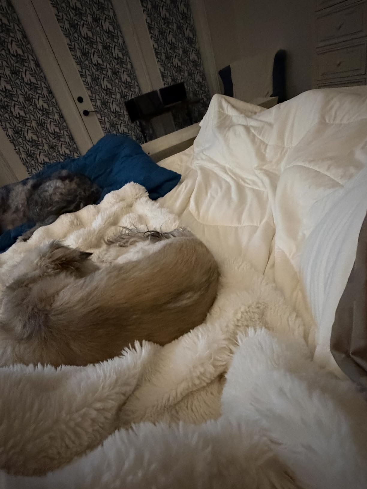 REST® Evercool® Cooling Comforter Blanket for Hot Sleepers, King/Cali King customer photo 2