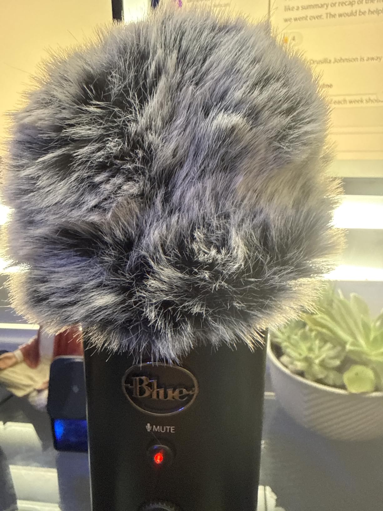 YOUSHARES Blue Yeti Pop Filter Foam Windscreen - 5.5 Inch Diam 6 Layers Pop Filter for Mic Cover Pop Screen Compatible with Blue Yeti Microphone Professional Metal customer photo 1
