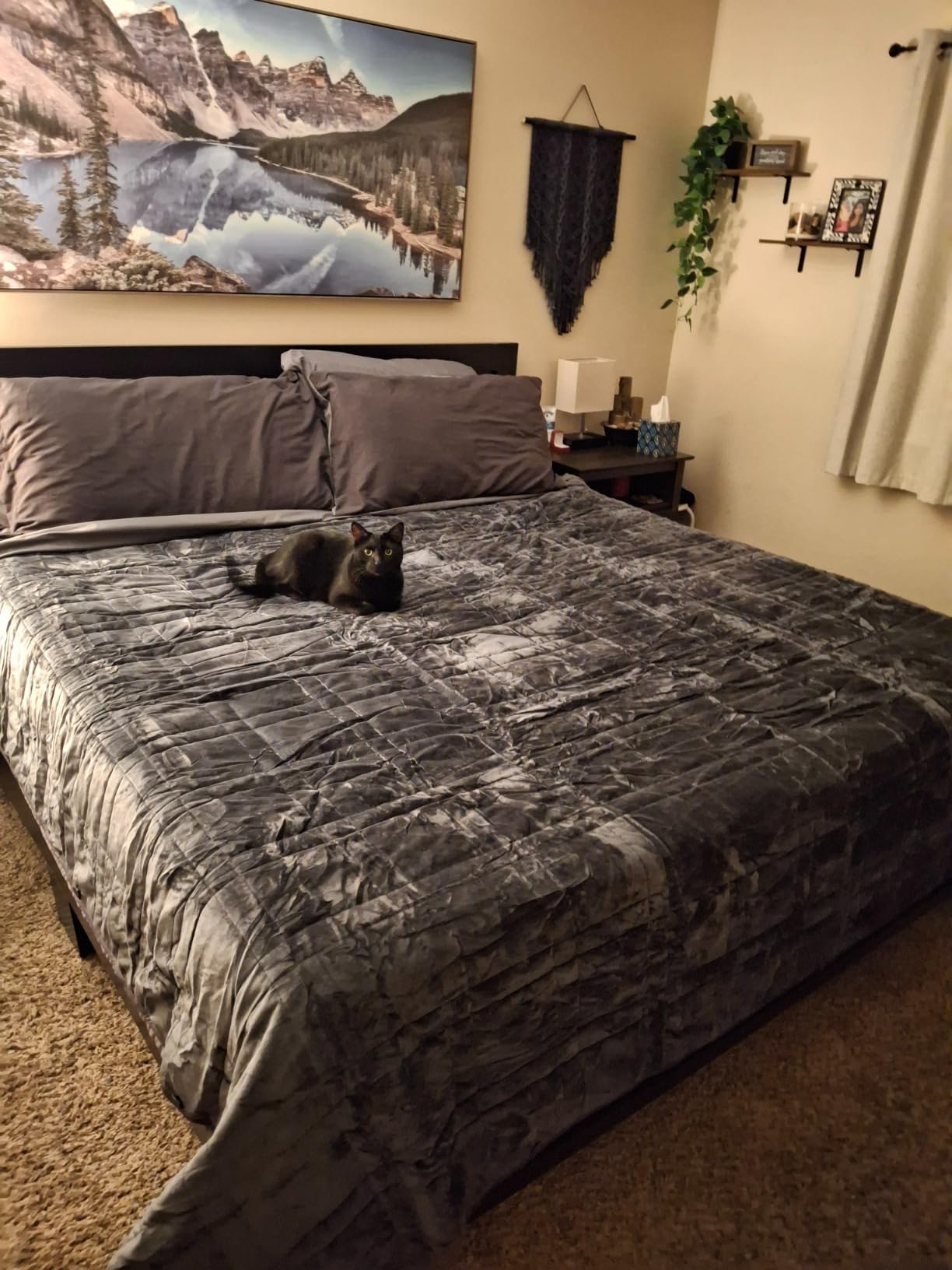 King Size Weighted Blanket 45lb(88''x104'', Dual-Sided), Cozy Warm Velvet & Cooling Tencel Fabric Reversible King Weighted Blanket for Adults & Couples All Season Use - Carry Bag Included, Dark Grey customer photo 1