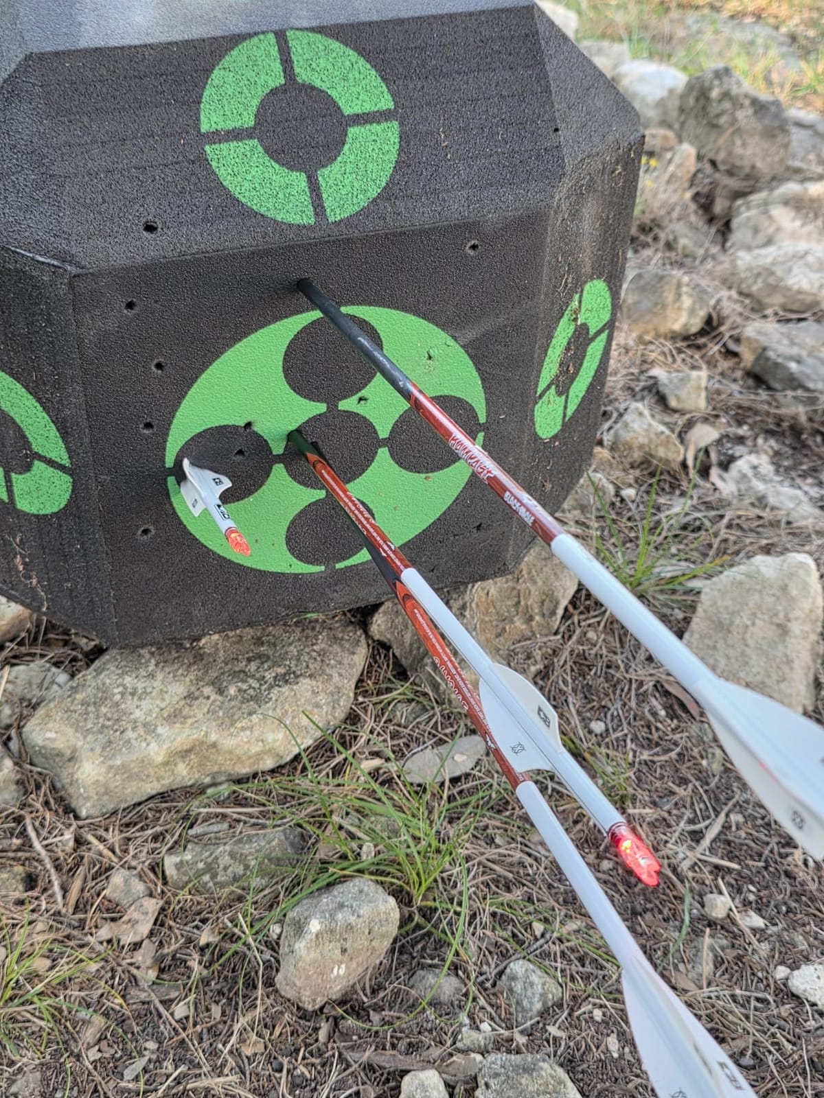 VEVOR Archery Target Block, All-Side Bow Target Block, Outdoor Portable Archery Target with Carry Handle, Easy Arrow Removal, Great Visibility, Lightweight, Easy to Transport, Black customer photo 2