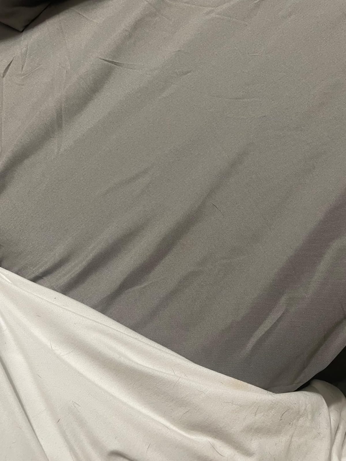 Shilucheng Tencel Sheets 4 Piece, 100% Eucalyptus Lyocell Sheets Set customer photo 2