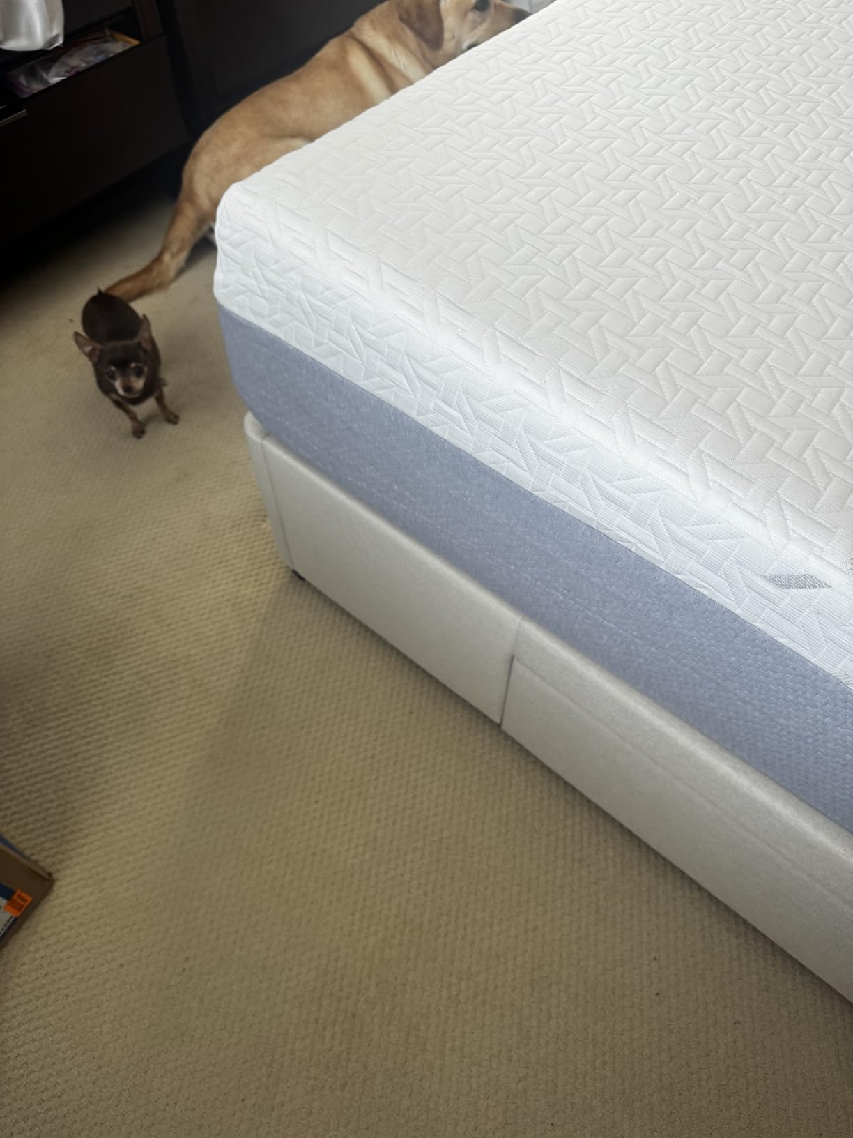Nectar 12” Memory Foam Mattress, King, Firm Feel, 1-Year Trial customer photo 2