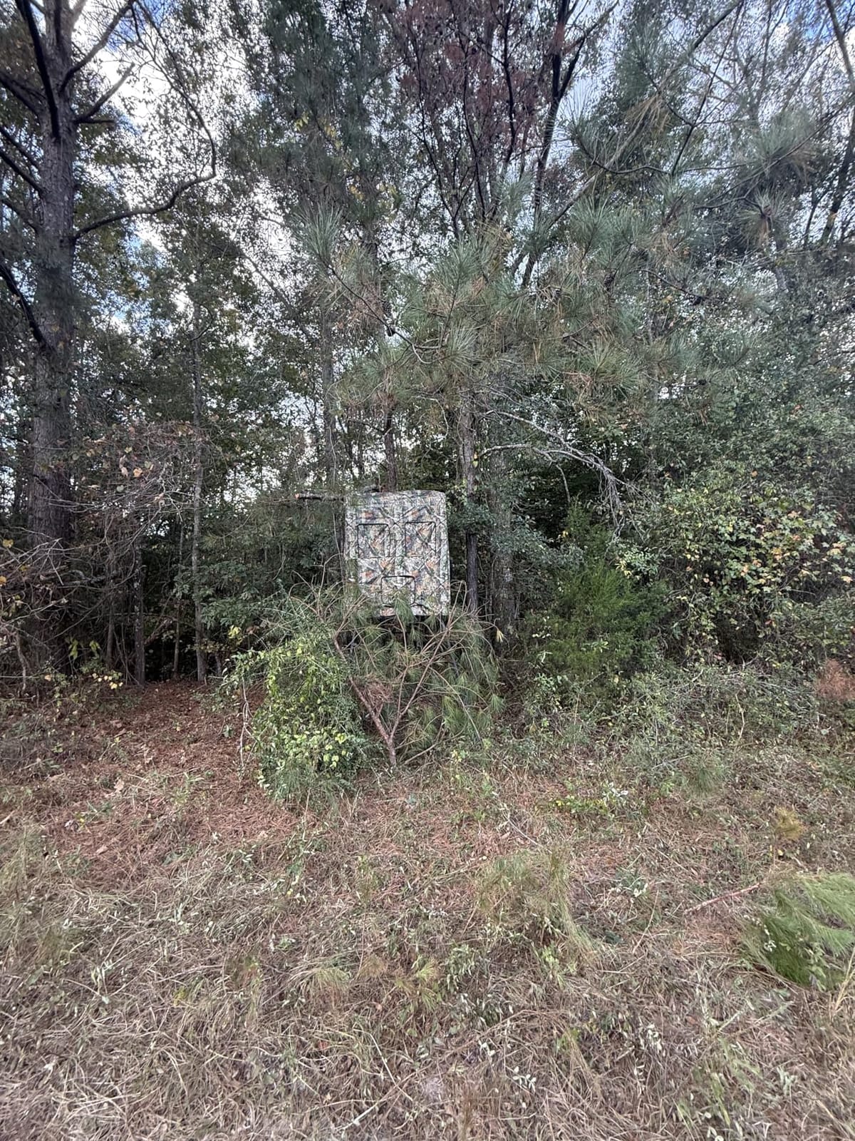 5/6FT Hunting Stand with Blind, 1-2 Man 4' x 4' Platform Deer Stand Tripod customer photo 1