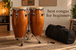 best congas for beginners